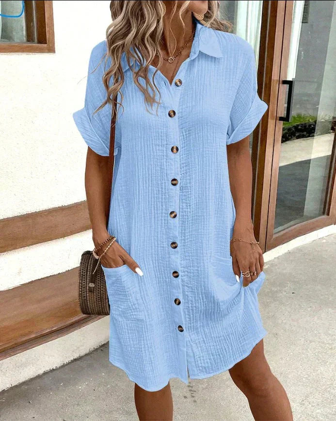 Chic Classic Fit Polo Dress