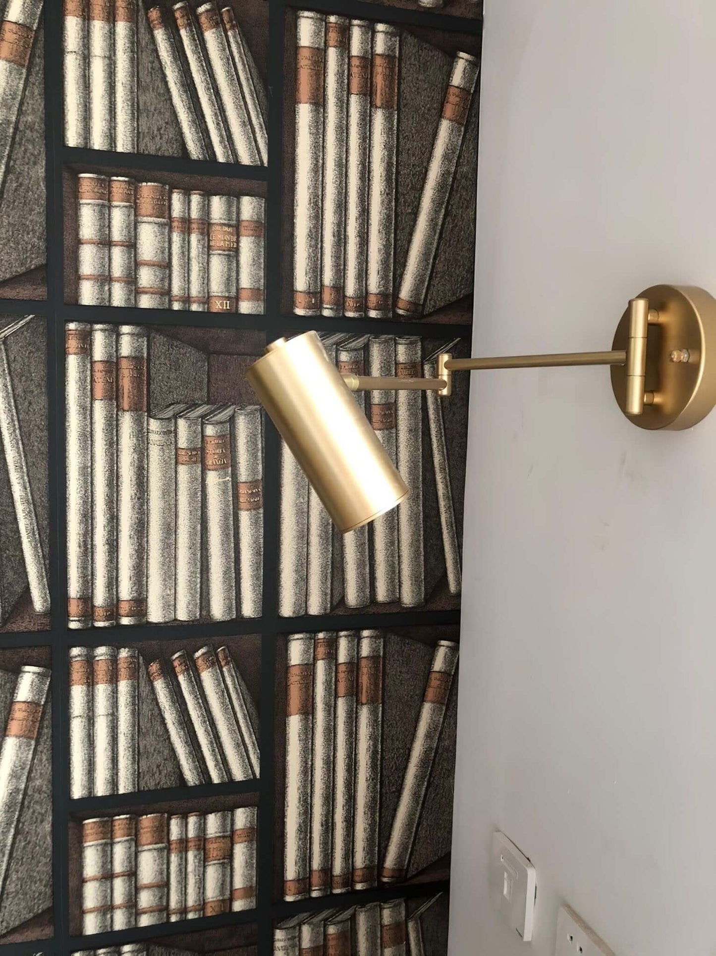 Flexible Brushed Steel LED Wall Light with Arm