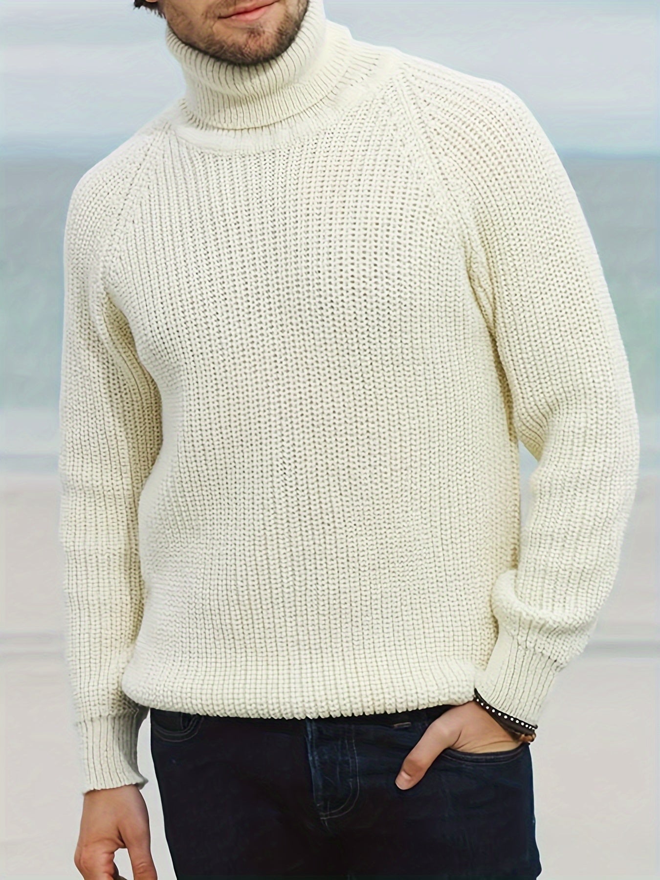 Warm Crew Neck Winter Sweater for Men