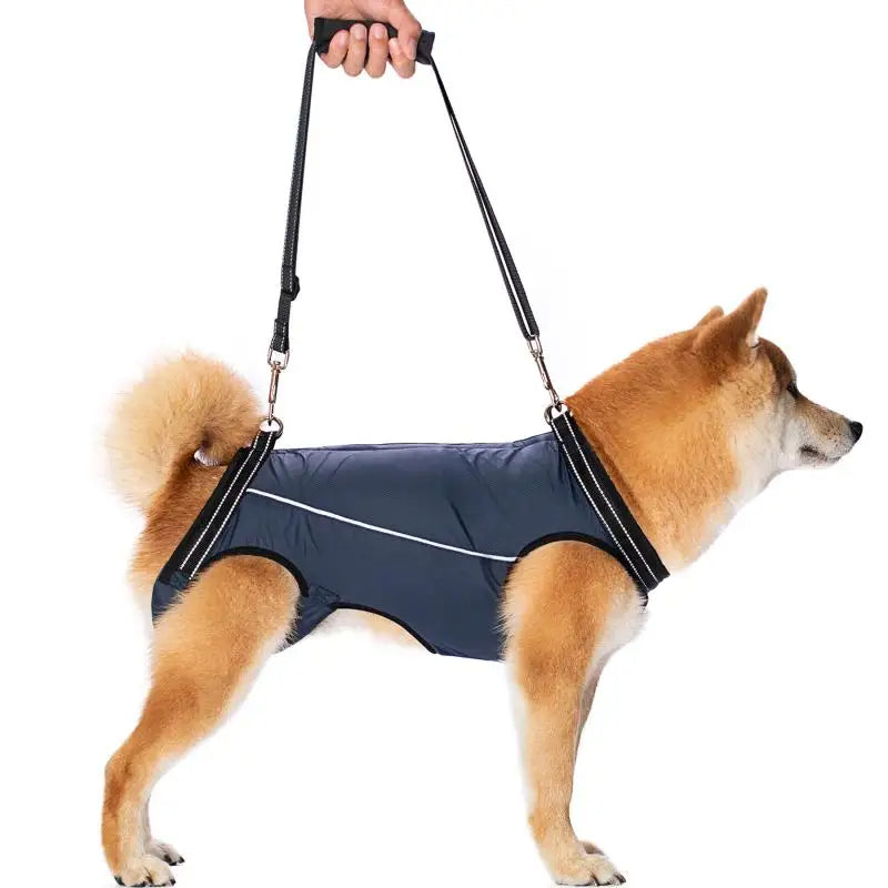 Supportive Pet Lift Harness for Disabled & Aging Dogs - Luxivelle