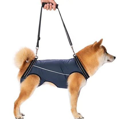 Supportive Pet Lift Harness for Disabled & Aging Dogs - Luxivelle
