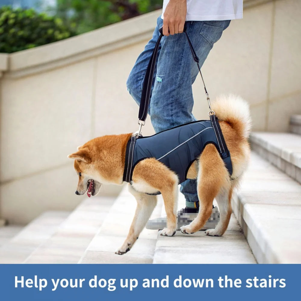 Adjustable dog lift harness for senior pets, full-body support sling, ergonomic design, padded and breathable material.