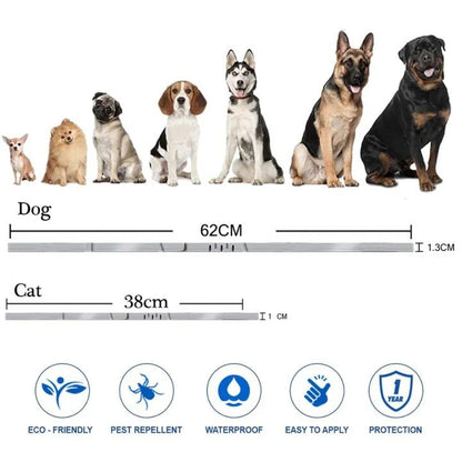 "Adjustable waterproof flea and tick collar for cats and dogs, featuring natural essential oils and eco-friendly design."
