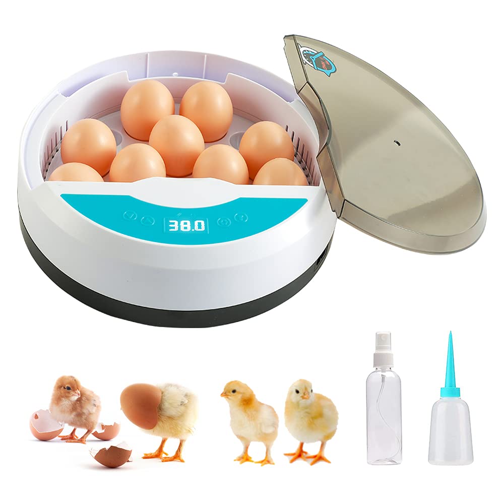 Digital LED Egg Hatcher with Precise Temperature Control - Luxivelle