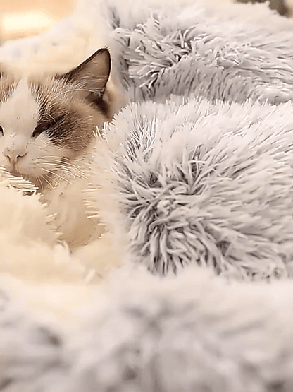 Plush Dog Bed for Calm Sleep