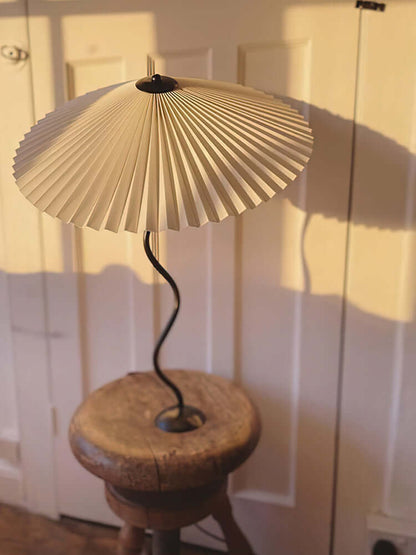 Stylish Curve Desk Lamp