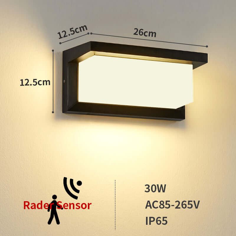 Automatic LED Security Wall Lamp Indoor/Outdoor
