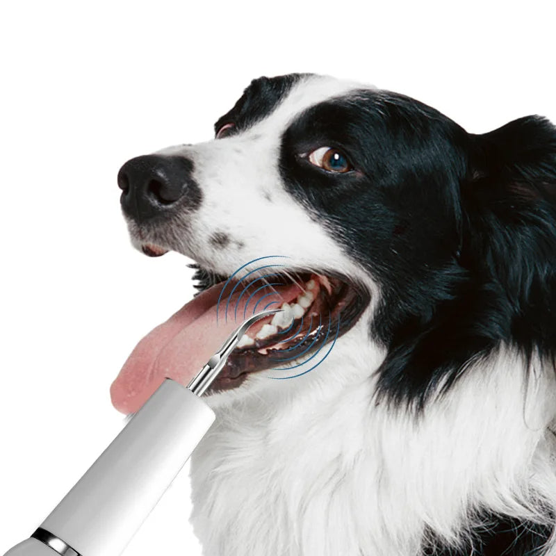 "Black pet dental tool kit for dogs and cats, ultrasonic cleaning, promotes oral hygiene and fresh breath, easy USB recharge.