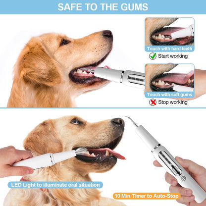 "Black pet dental tool kit for dogs and cats, ultrasonic cleaning, promotes oral hygiene and fresh breath, easy USB recharge.