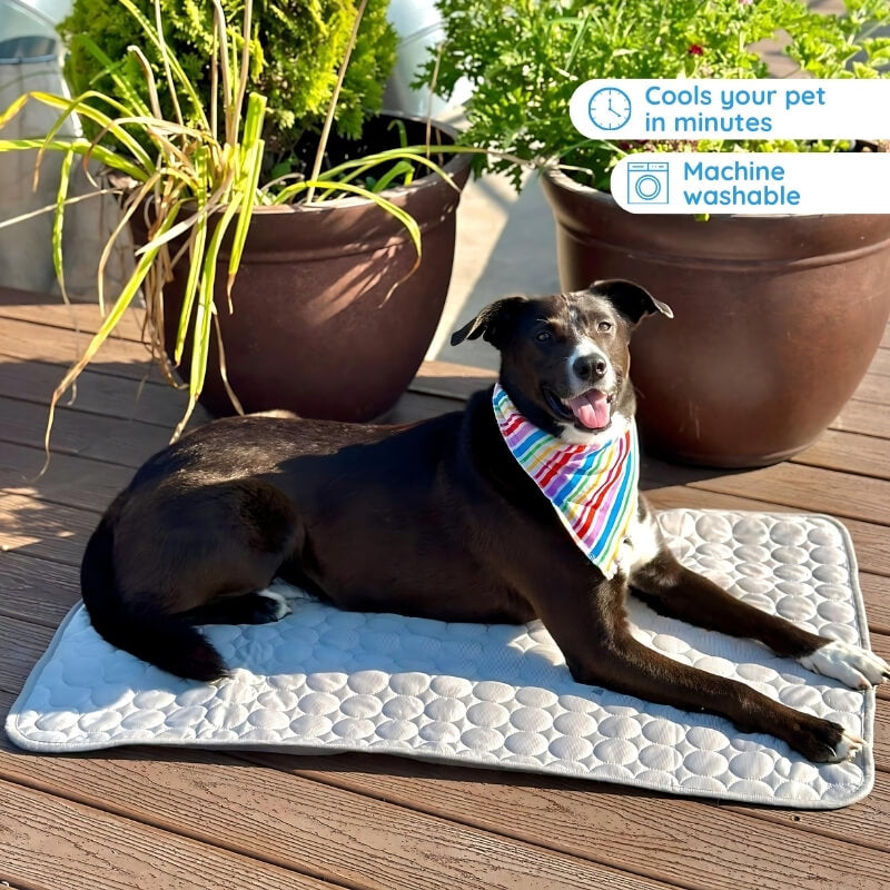 Cool Dog Bed Mat - Breathable and Pet Friendly - Luxivelle