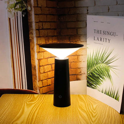 Rechargeable Portable Desk Light with Control