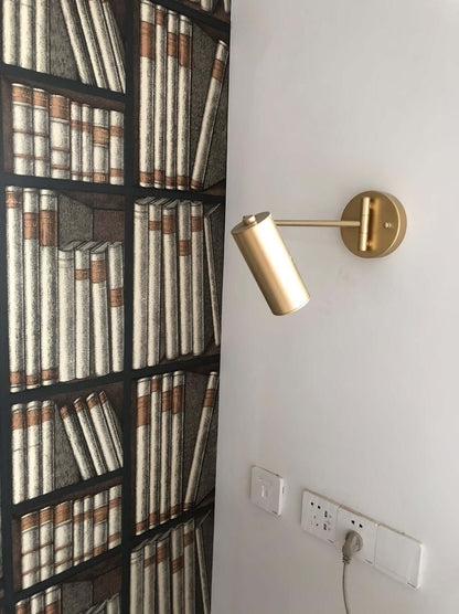 Flexible Brushed Steel LED Wall Light with Arm
