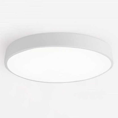 Round Indoor LED Ceiling Light Fixture