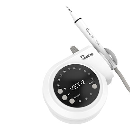 Professional Dental Cleaner with Interchangeable Heads