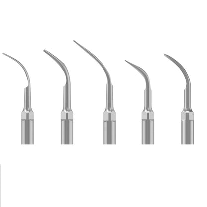 Professional Dental Cleaner with Interchangeable Heads