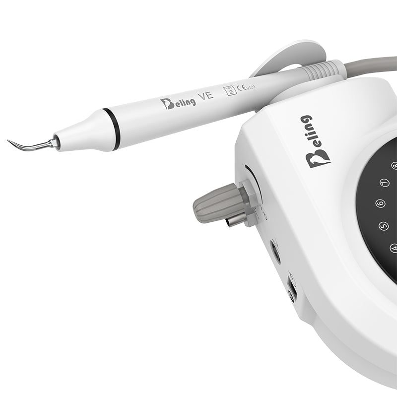 Professional Dental Cleaner with Interchangeable Heads