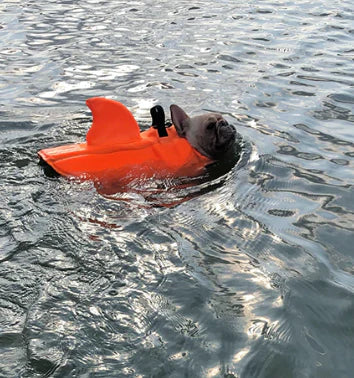 Pet Safety Vest with Fin for Fun Water Activities - Luxivelle