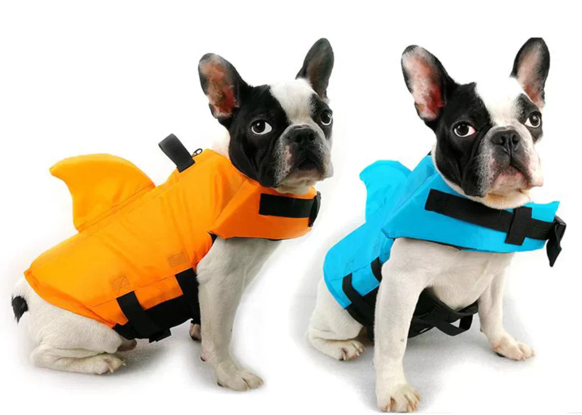 "Dog life jacket with shark fin, vibrant colors, adjustable straps, ensures pet safety and buoyancy in water adventures."