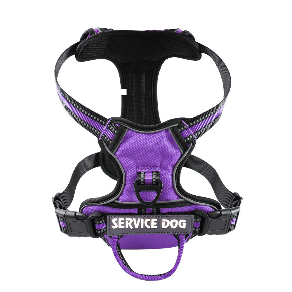 "Dog wearing personalized Y-shape harness with reflective strips for comfort and safety, vibrant color, ergonomic design."