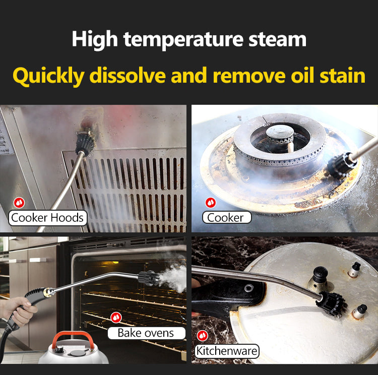 Heavy Duty 2800W Steam Cleaner for Home and Car