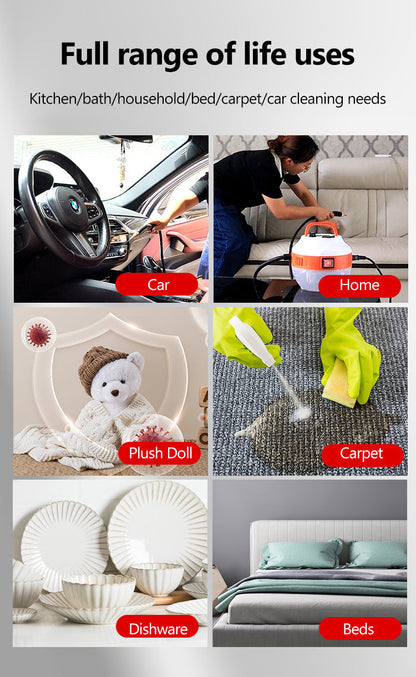 Heavy Duty 2800W Steam Cleaner for Home and Car