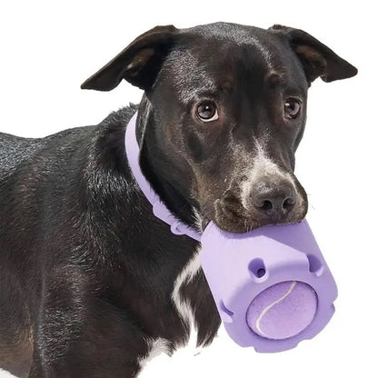 Tough Rubber Dog Ball Toy with Surprise Inside - Luxivelle