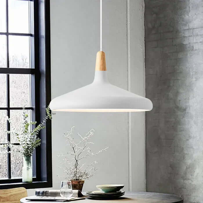 Sleek Metal Hanging Light