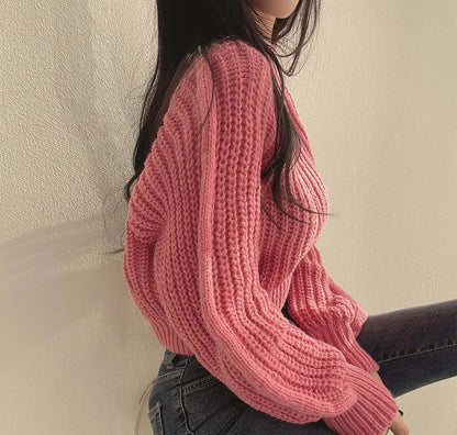 Ladies' Cozy Cold Weather Crew Neck Sweater