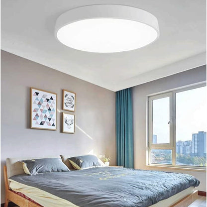 Round Indoor LED Ceiling Light Fixture