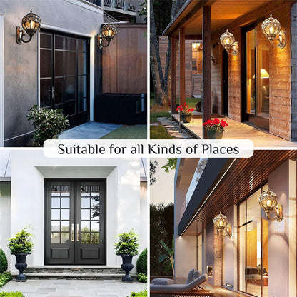 "Elegant bronze/black outdoor wall light with matte finish, transparent globe shade, perfect for garden or porch lighting."