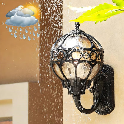 "Elegant bronze/black outdoor wall light with matte finish, transparent globe shade, perfect for garden or porch lighting."