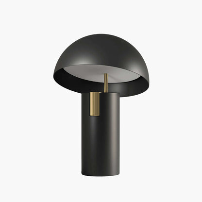 Contemporary Spinning LED Desk Lamp