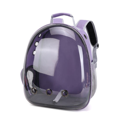 Foldable pet backpack with ventilation, transparent front, mesh panels, adjustable straps, and storage pockets for travel.