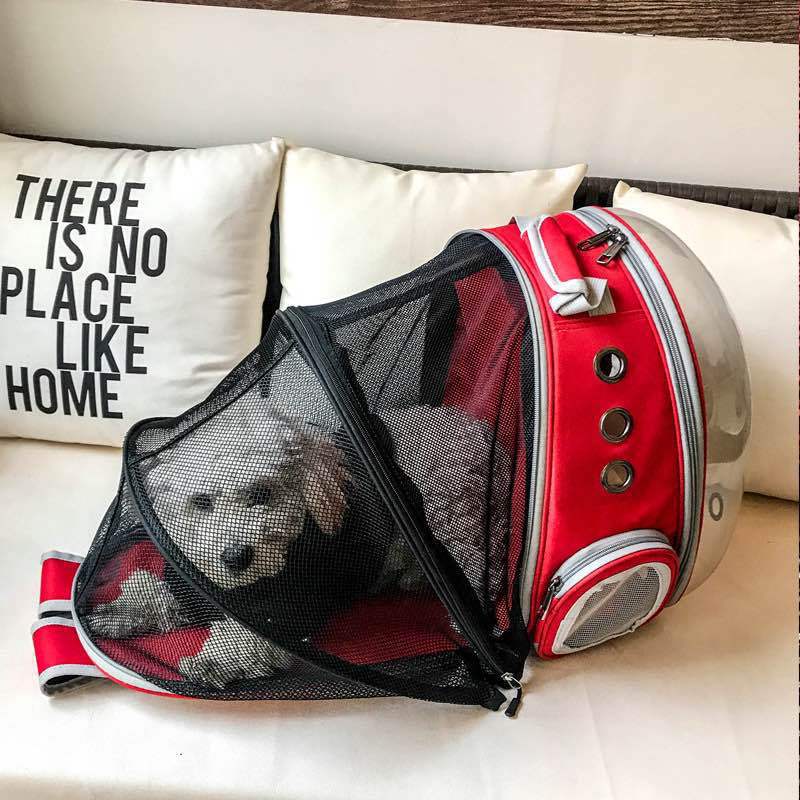 Foldable pet backpack with ventilation, transparent front, mesh panels, adjustable straps, and storage pockets for travel.