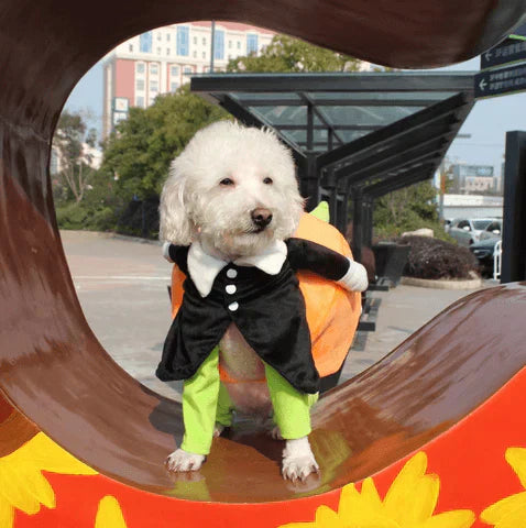 Adorable Pet Halloween Dog Costume - Luxivelle