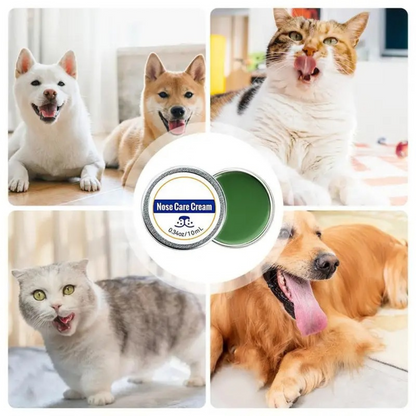 "Gentle protection balm for dry dog noses, moisturizing cracked snouts, weather-resistant, quick absorption for comfort."