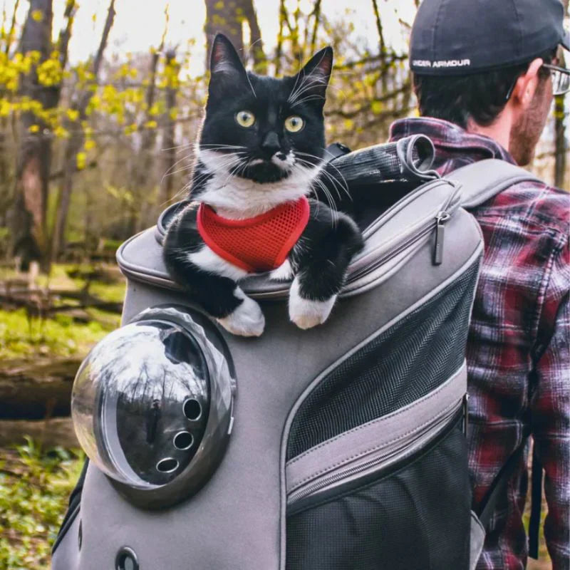 Pet Travel Carrier Soft Cat Bag - Luxivelle