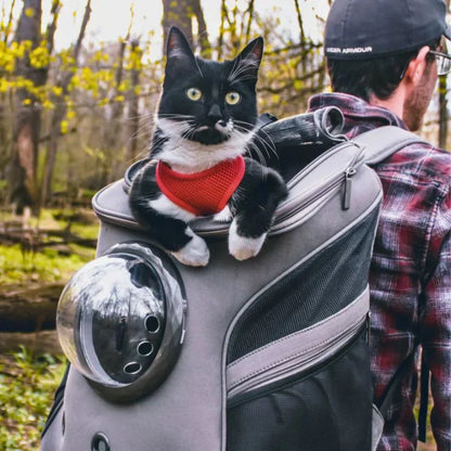 Pet Travel Carrier Soft Cat Bag - Luxivelle