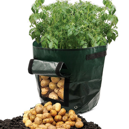 Green reusable grow bag with window for easy potato harvesting, durable fabric, ideal for patios and small gardens, optimal d