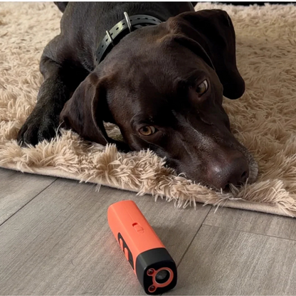 "Handheld ultrasonic anti-bark device, portable and safe for dogs, featuring one-button activation and USB-C rechargeability.