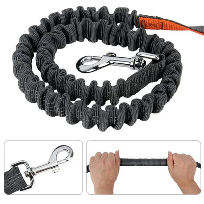 "Hands-free dog running lead with reflective waist belt, showing adjustable strap and bungee leash for outdoor activities."