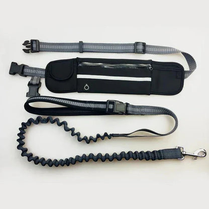 "Hands-free dog running lead with reflective waist belt, showing adjustable strap and bungee leash for outdoor activities."
