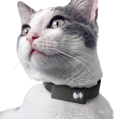 Wide Angle Pet Camera Collar for Cats and Dogs - Luxivelle