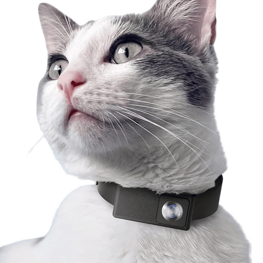 Wide Angle Pet Camera Collar for Cats and Dogs - Luxivelle