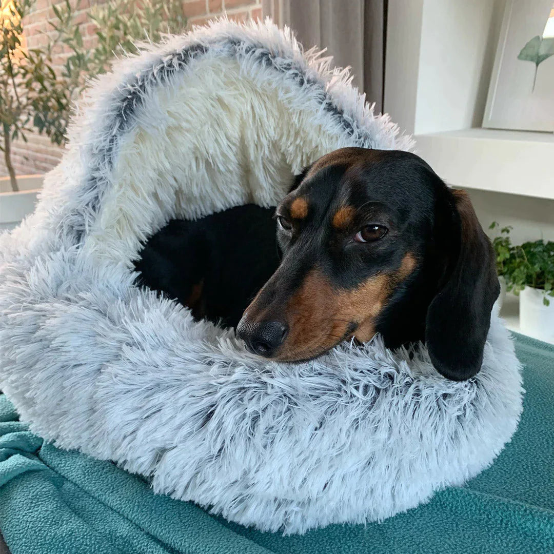 Comfy Orthopedic Dog Bed – Plush Supportive Pet Mattress - Luxivelle