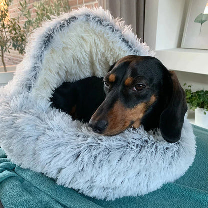 Comfy Orthopedic Dog Bed – Plush Supportive Pet Mattress - Luxivelle
