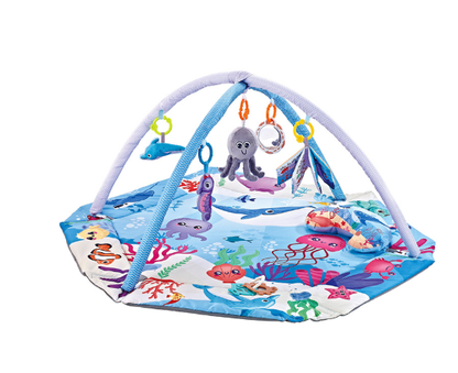 Ultimate Baby Play Gym with 8 Fun Toys