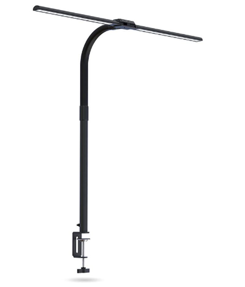 Contemporary 2-Head LED Desk Light
