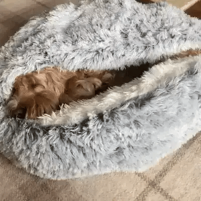 Plush Dog Bed for Calm Sleep