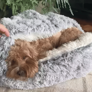Plush Dog Bed for Calm Sleep